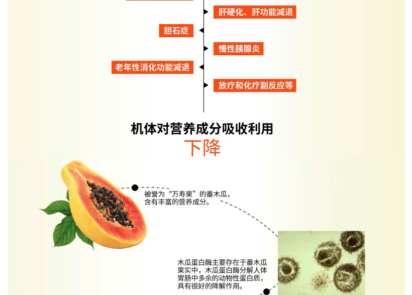 美国gnc木瓜酵素服用方法