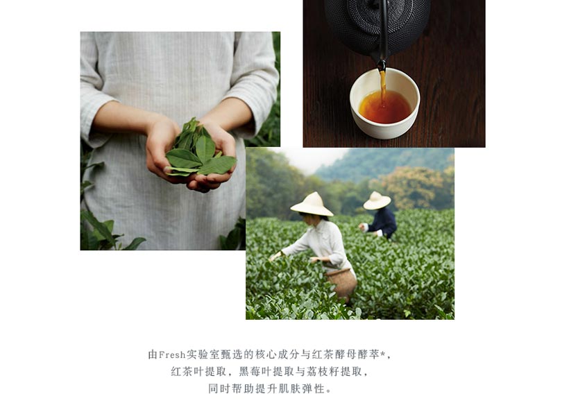 fresh红茶精华露价格表