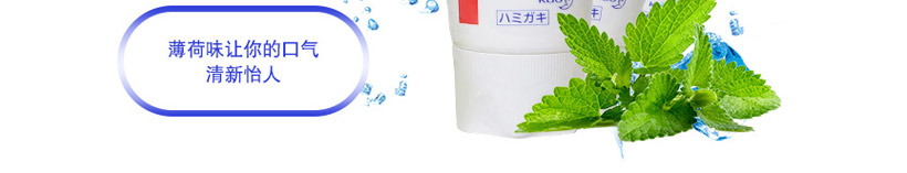 日本KAO花王防蛀牙膏